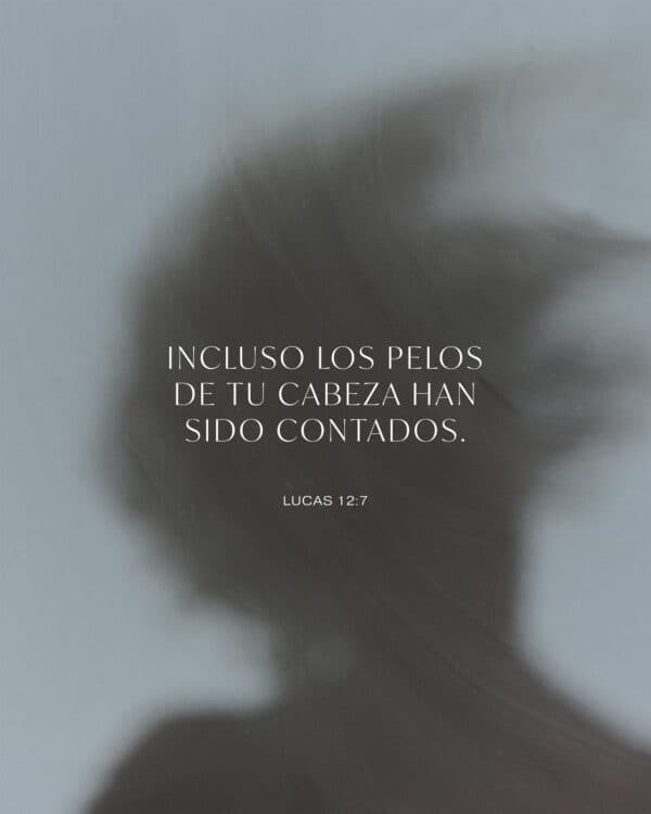 Incluso los pelos de tu cabeza han sido contados. - Lucas 12:7