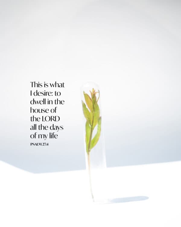 This is what I desire: to dwell in the house of the LORD all the days of my life. - Psalm 27:4