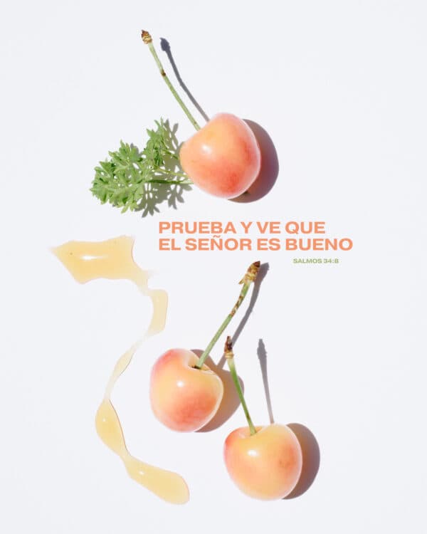 Prueba y ve que el SEÑOR es bueno. - Salmos 34:8