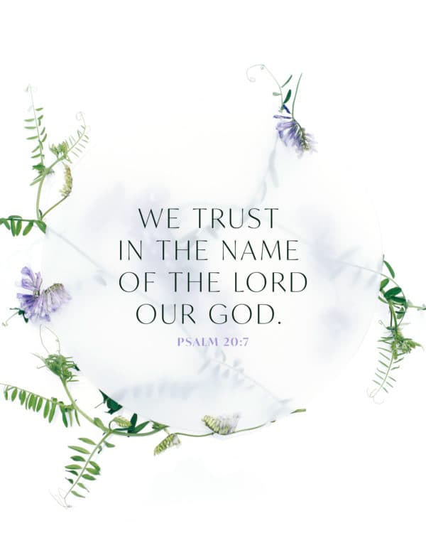 We trust in the name of the LORD our God. - Psalm 20:7