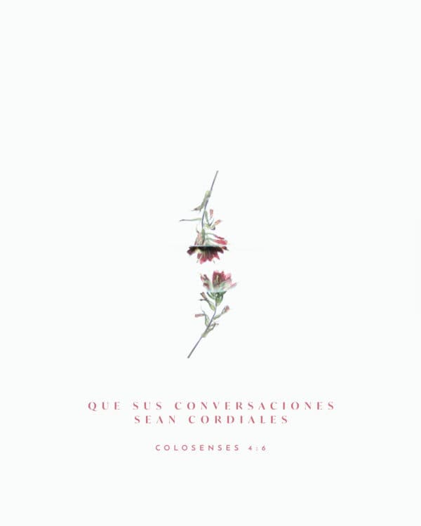Que sus conversaciones sean cordiales. - Colosenses 4:6