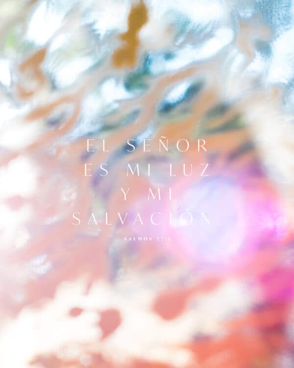 El SEÑOR es mi luz y mi salvación. - Salmos 27:1