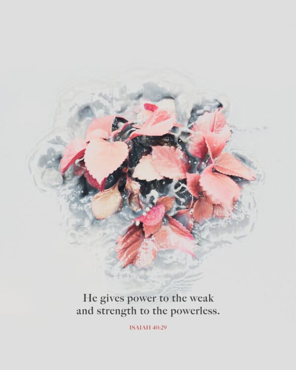 He gives power to the weak and strength to the powerless. - Isaiah 40:29