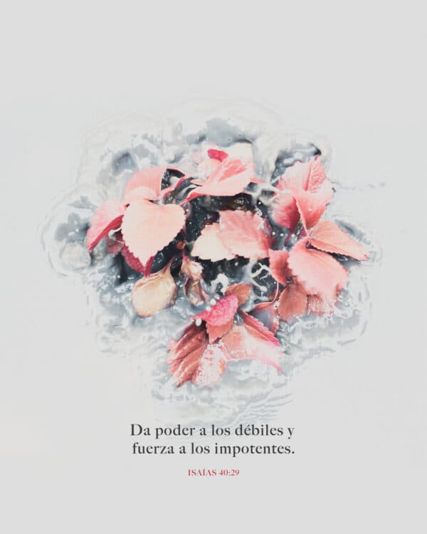 Da poder a los débiles y fuerza a los impotentes. - Isaías 40:29