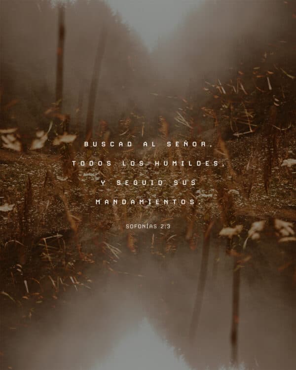Buscad al Señor, todos los humildes, y seguid sus mandamientos. - Sofonías 2:3