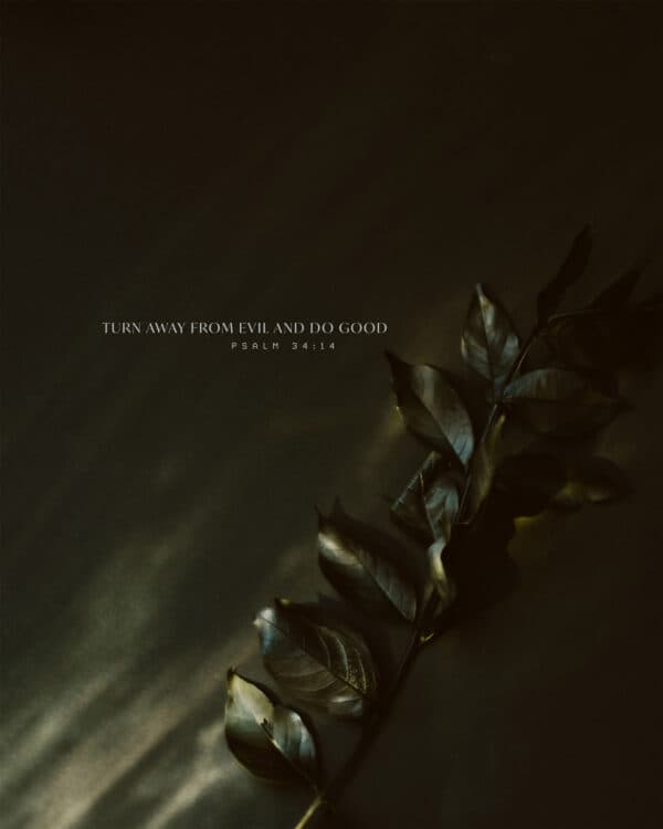 Turn away from evil and do good. - Psalm 34:14