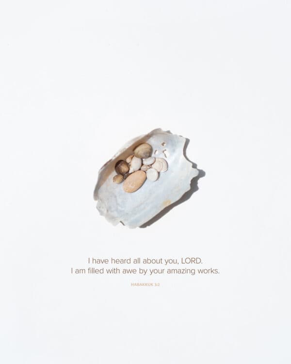 I have heard all about you, LORD. I am filled with awe by your amazing works. - Habakkuk 3:2
