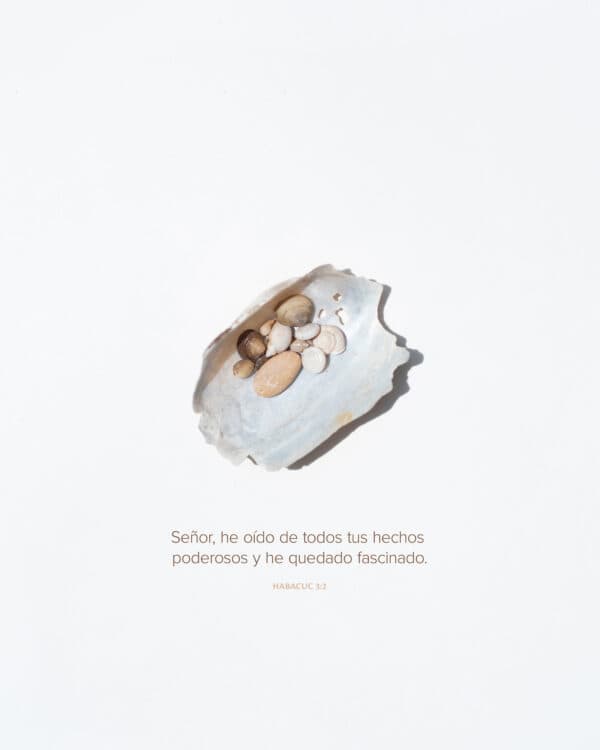 Señor, he oído de todos tus hechos poderosos y he quedado fascinado. - Habacuc 3:2