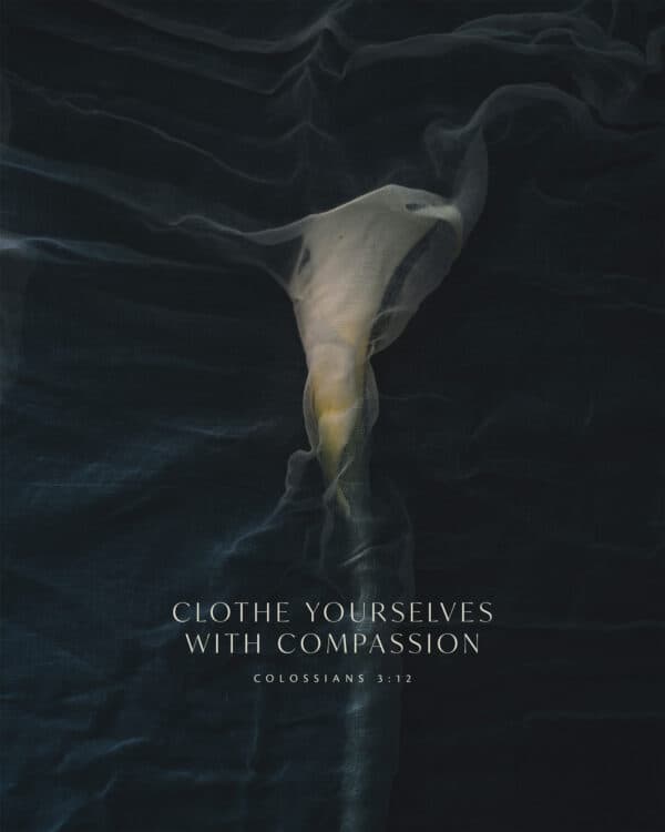 Clothe yourselves with compassion. - Colossians 3:12