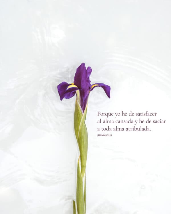 Porque yo he de satisfacer al alma cansada y he de saciar a toda alma atribulada. - Jeremías 31:25