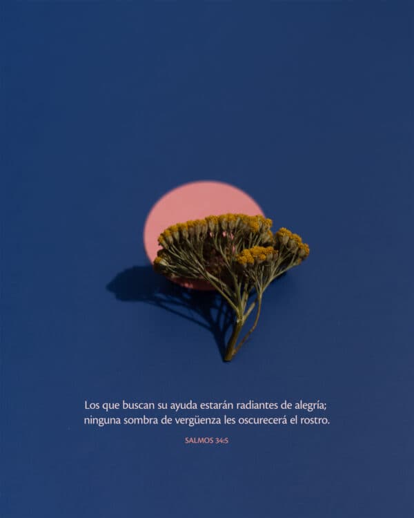 Los que miran al Señor quedan radiantes de alegría. - Salmos 34:5