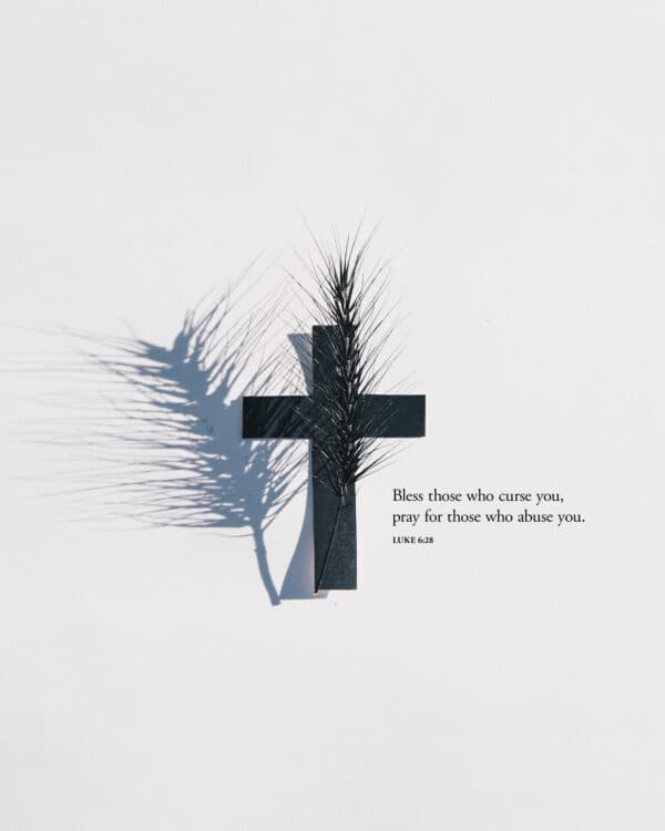 Bless those who curse you, pray for those who abuse you. - Luke 6:28
