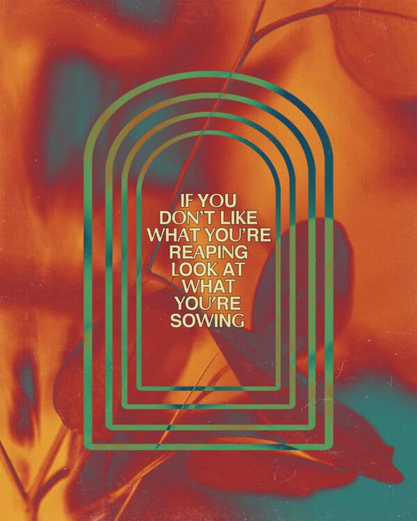 If you don't like what you're reaping, look at what you're sowing