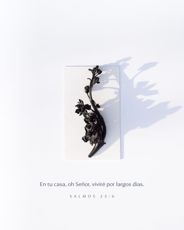 En tu casa, oh Señor, viviré por largos días. - Salmos 23:6