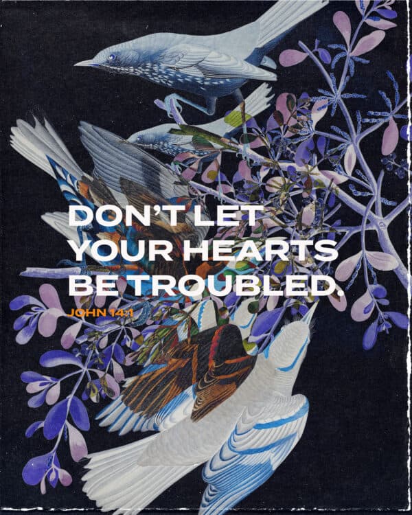 Don’t let your hearts be troubled. - John 14:1