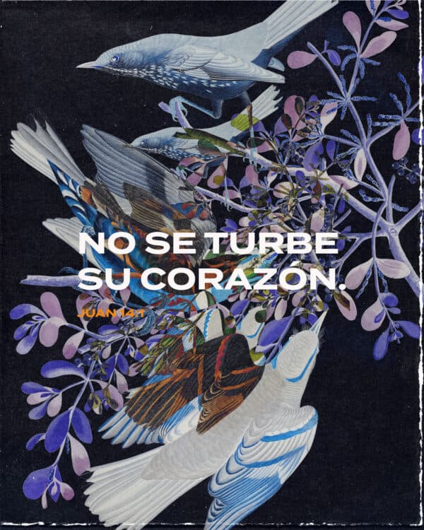 No se turbe su corazón. - Juan 14:1