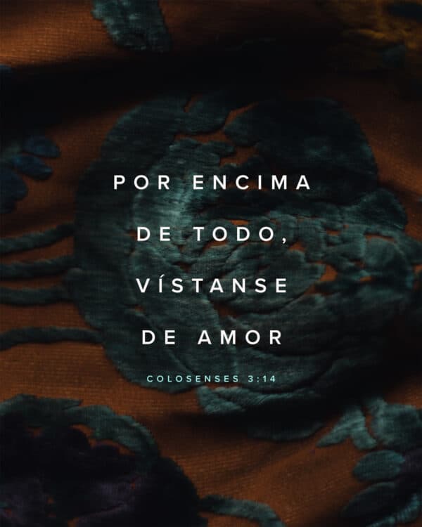 Por encima de todo, vístanse de amor. - Colosenses 3:14