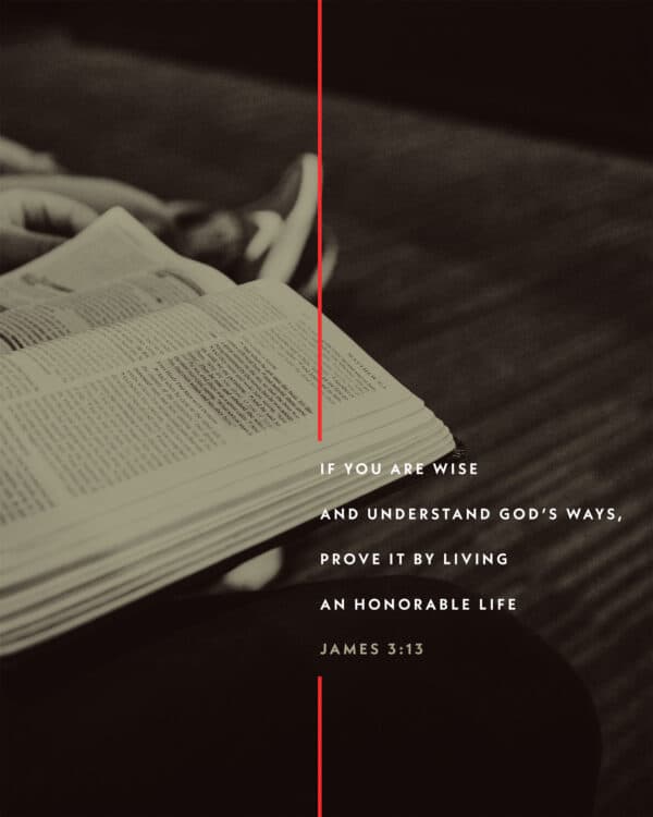 If you are wise and understand God’s ways, prove it by living an honorable life. - James 3:13