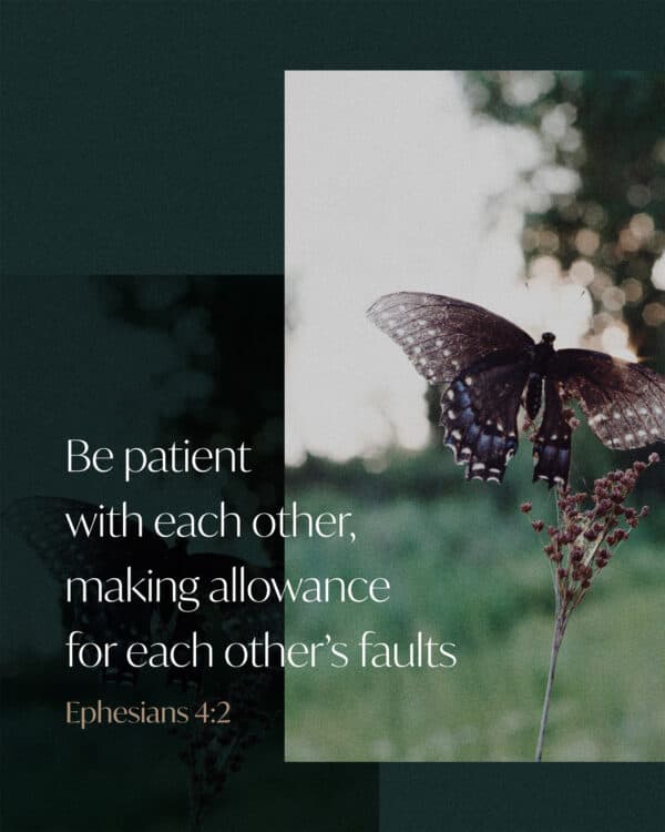 Be patient with each other, making allowance for each other’s faults. - Ephesians 4:2