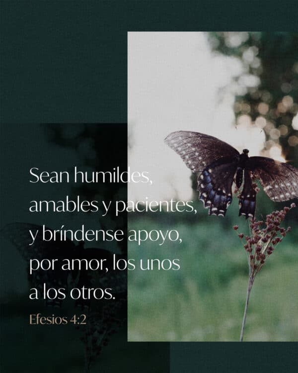 Sean humildes, amables y pacientes, y bríndense apoyo, por amor, los unos a los otros. - Efesios 4:2