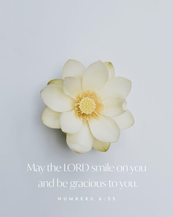 May the LORD smile on you and be gracious to you. - Numbers 6:25