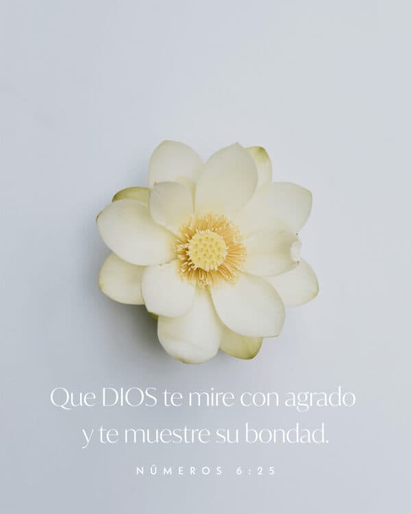 Que Dios te mire con agrado y te muestre su bondad. - Números 6:25