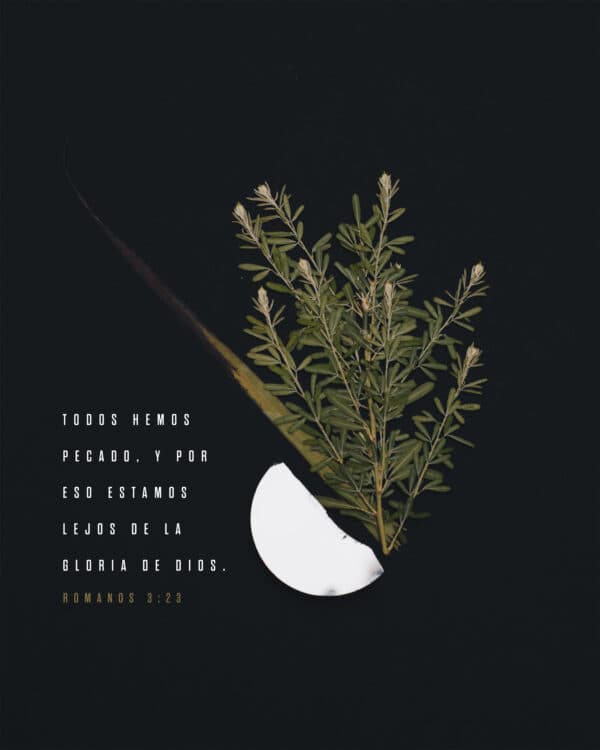 Todos hemos pecado, y por eso estamos lejos de la Gloria de Dios. - Romanos 3:23