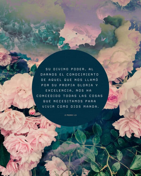 Su divino poder, al darnos el conocimiento de aquel que nos llamó por su propia gloria y excelencia, nos ha concedido todas las cosas que necesitamos para vivir como Dios manda. - 2 Pedro 1:3