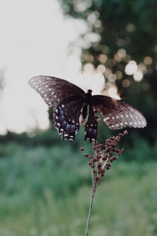 September Verse-of-the-Day Shoot 11