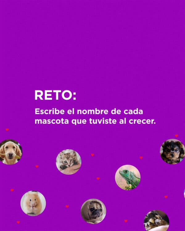 Reto: Escribe el nombre de cada mascota que tuviste al crecer.