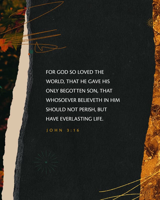 Scripture Posts