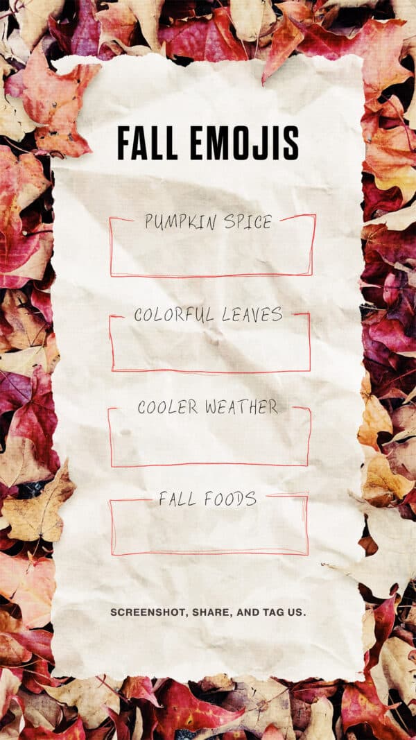 Fall Emojis. Pumpkin Spice. Colorful leaves. Cooler weather. Fall foods. Screenshot, share, and tag us.