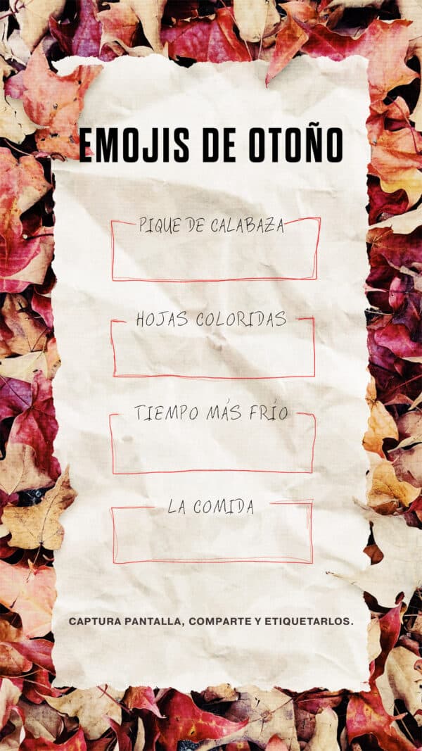 Emojis de Otoño. Pique de calabaza. Hojas coloridas. Tiempo más frío. Comida de otoño. Captura pantalla, comparte y etiquetarlos.