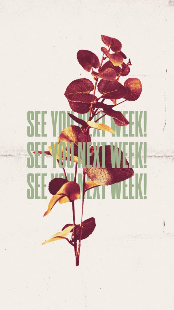 See you next week!