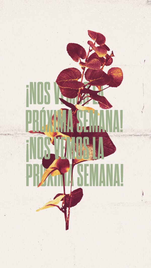 ¡Nos vemos la próxima semana!