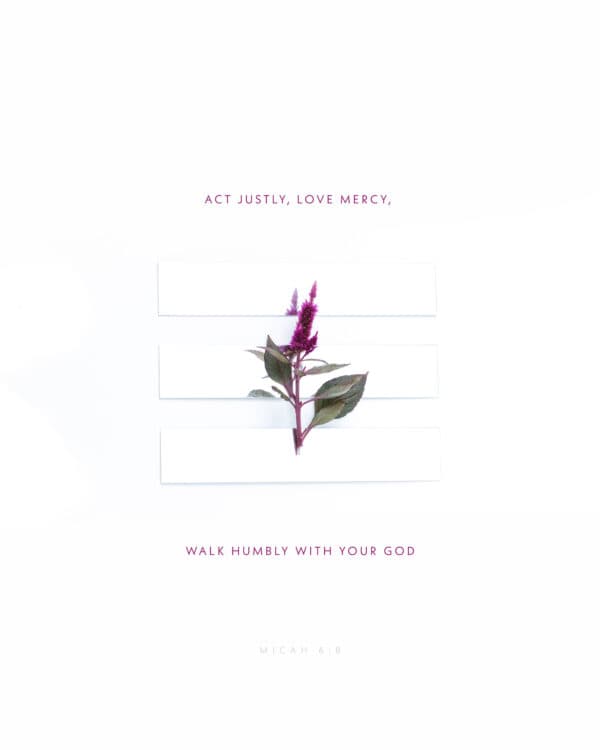 Act justly, love mercy, walk humbly with your God. - Micah 6:8
