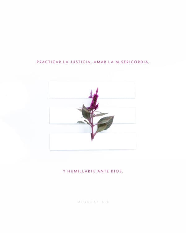 Practicar la justicia, amar la misericordia, y humillarte ante Dios. - Miqueas 6:8