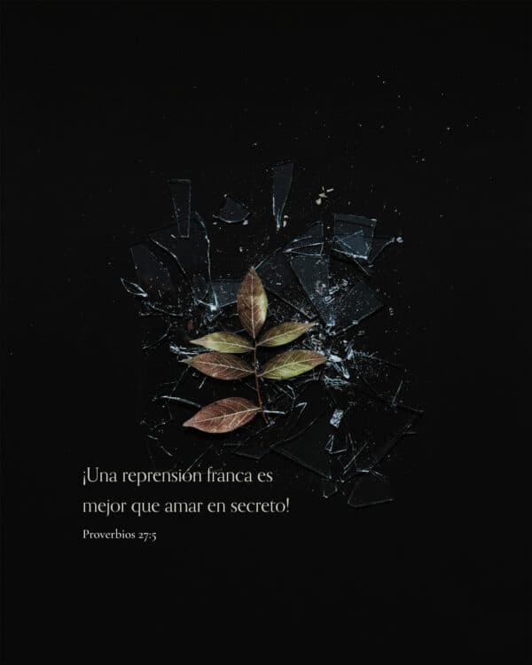 ¡Una reprensión franca es mejor que amar en secreto! - Proverbios 27:5