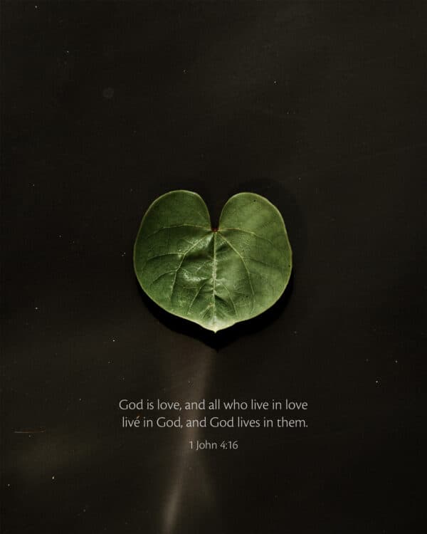 God is love, and all who live in love live in God, and God lives in them. - 1 John 4:16