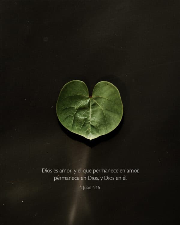 Dios es amor; y el que permanece en amor, permanece en Dios, y Dios en él. - 1 Juan 4:16