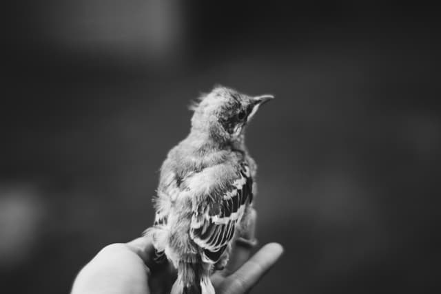 October Verse-of-the-Day Shoot 11