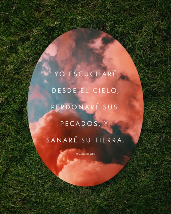 Yo escucharé desde el cielo, perdonaré sus pecados, y sanaré su tierra. - 2 Crónicas 7:14