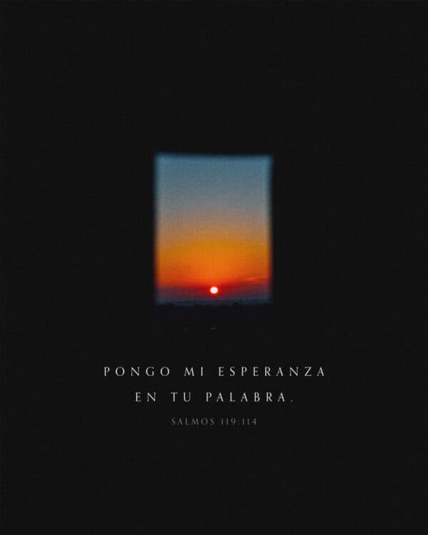 Pongo mi esperanza en Tu palabra. - Salmos 119:114