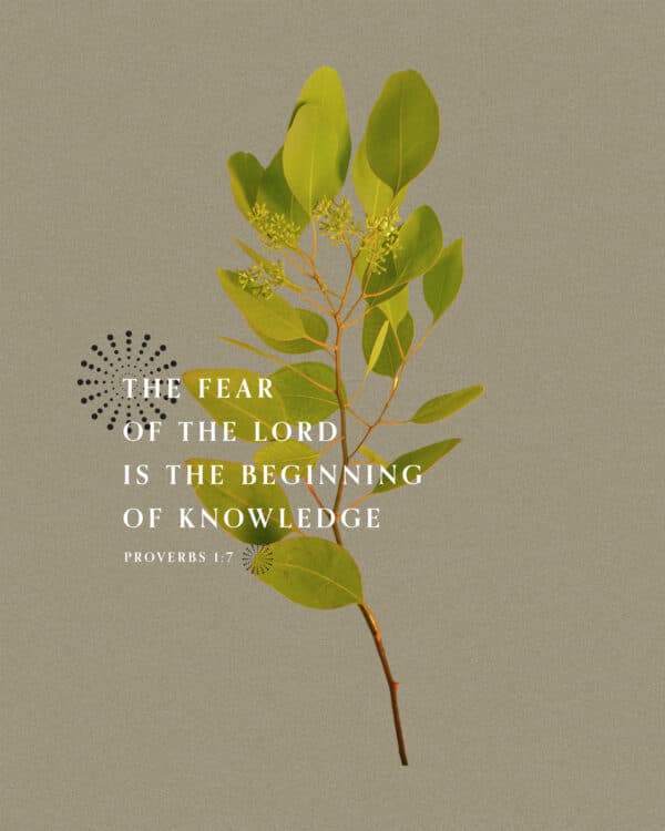 The fear of the LORD is the beginning of knowledge. - Proverbs 1:7