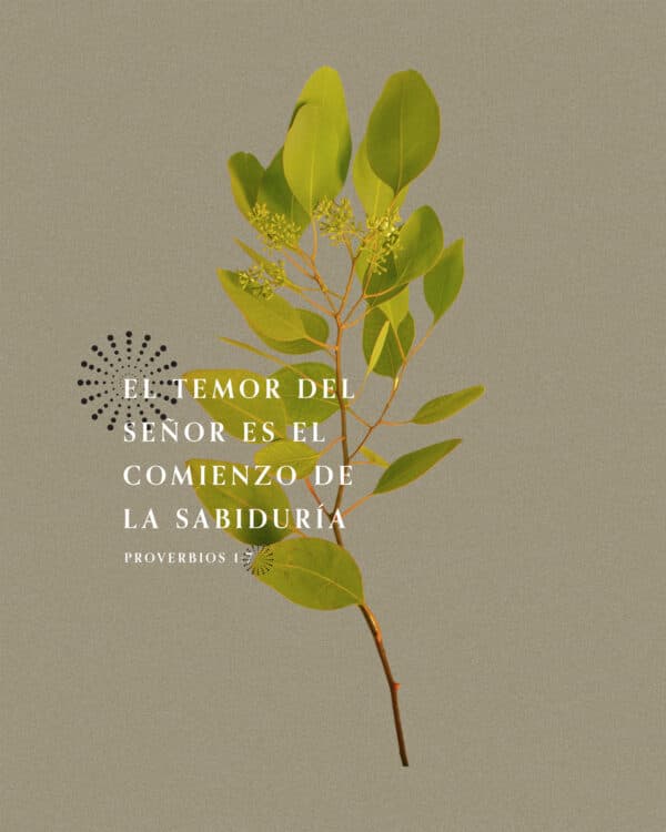 El temor del SEÑOR es el comienzo de la sabiduría. - Proverbios 1:7