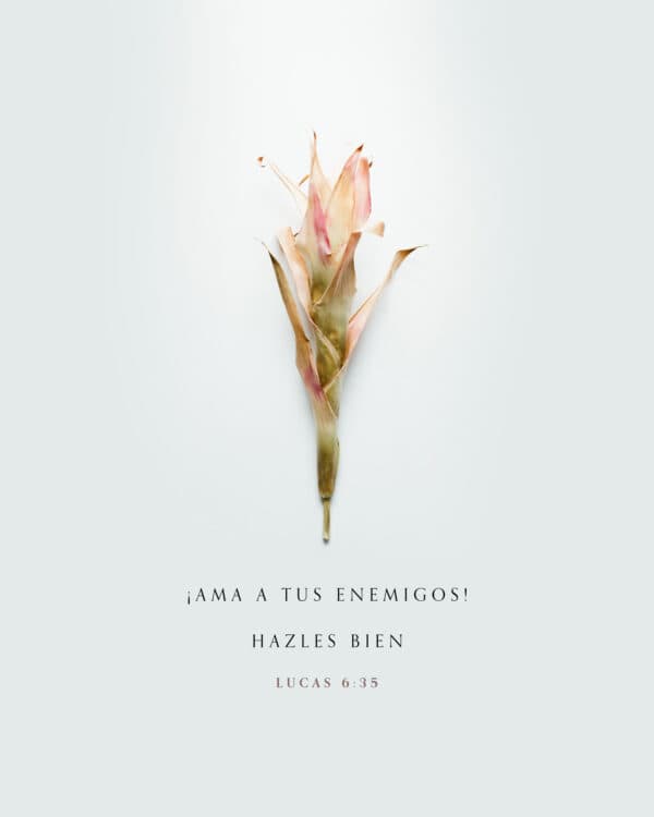 ¡Ama a tus enemigos! Hazles bien. - Lucas 6:35
