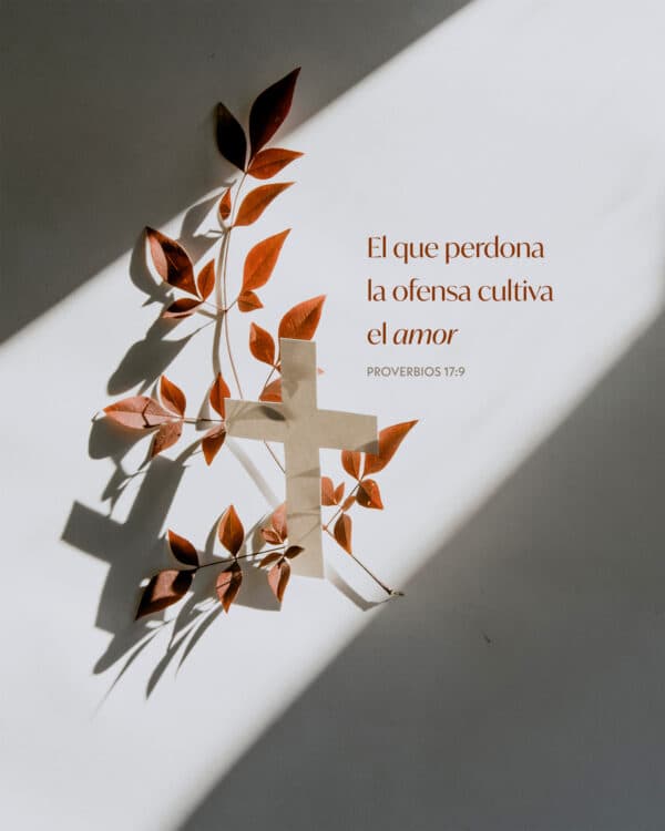 El que perdona la ofensa cultiva el amor. - Proverbios 17:9