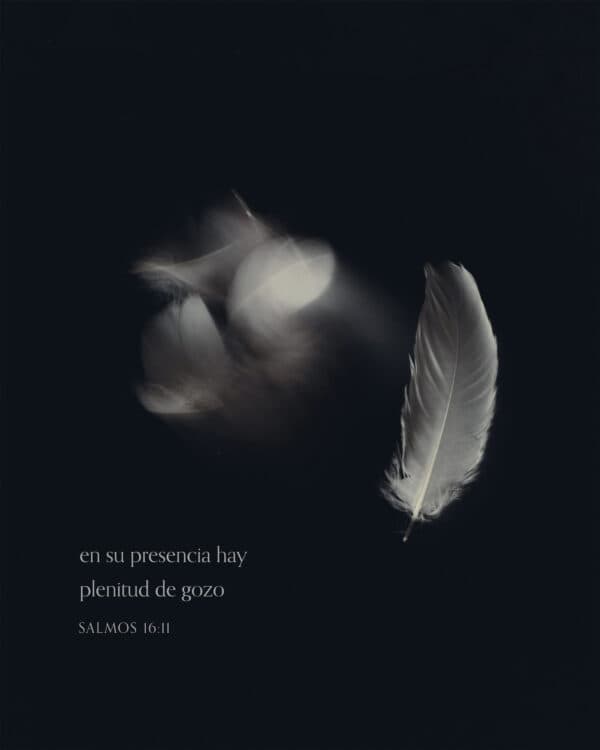 En su presencia hay plenitud de gozo. - Salmos 16:1