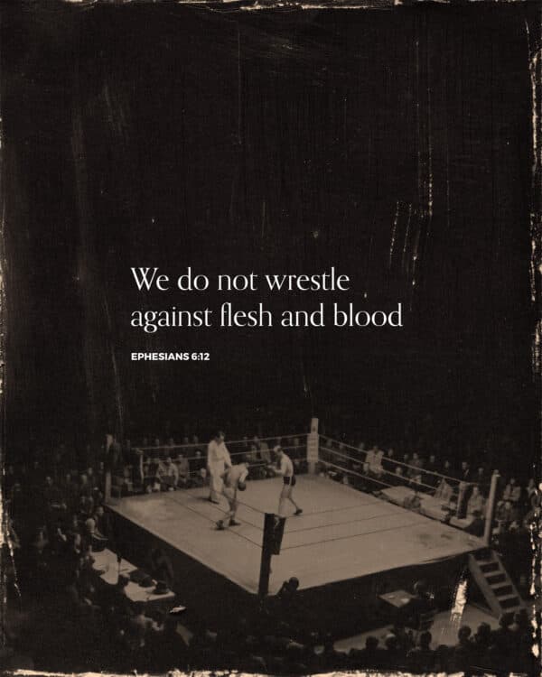 We do not wrestle against flesh and blood. - Ephesians 6:12