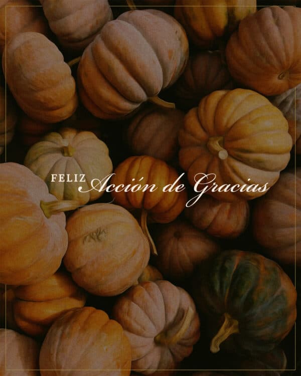 Feliz Acción de Gracias